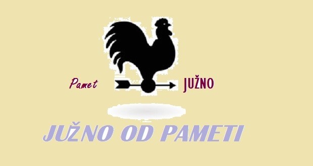 JUŽNO OD PAMETI